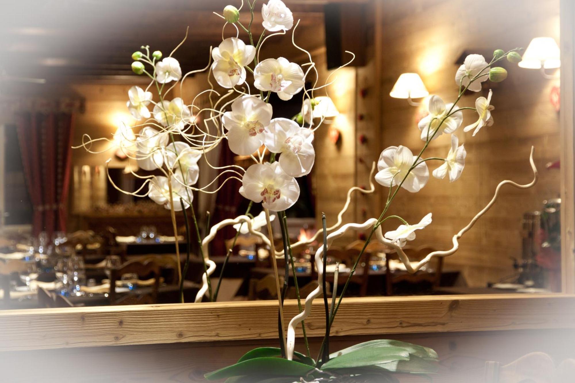 Bourg-dʼOueil Hotel - Restaurant - Bar - Le Sapin Fleuri מראה חיצוני תמונה